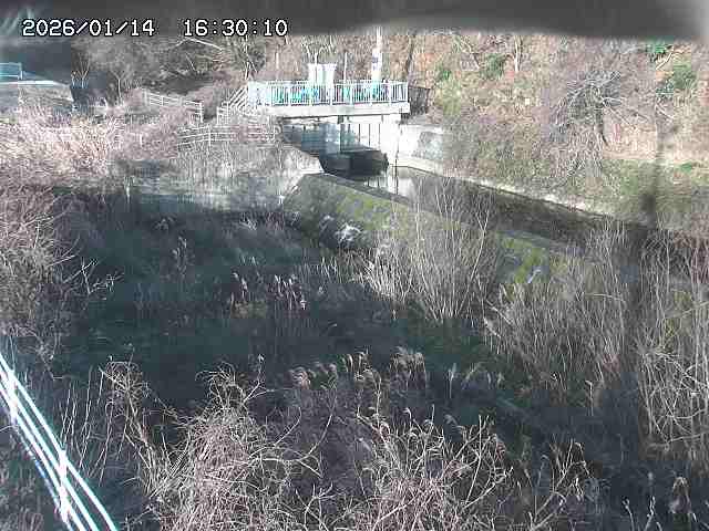 山白川３2026/01/14 18:30:00