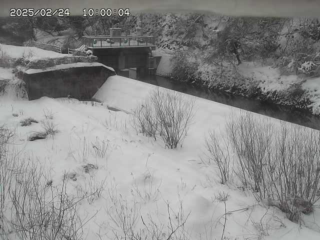 山白川３2026/02/25 2:30:00