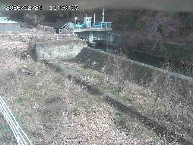 山白川３2026/02/25 2:30:00