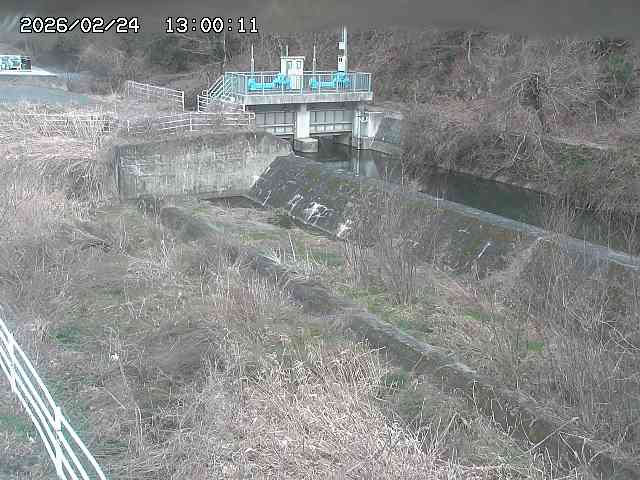 山白川３2026/02/25 2:30:00