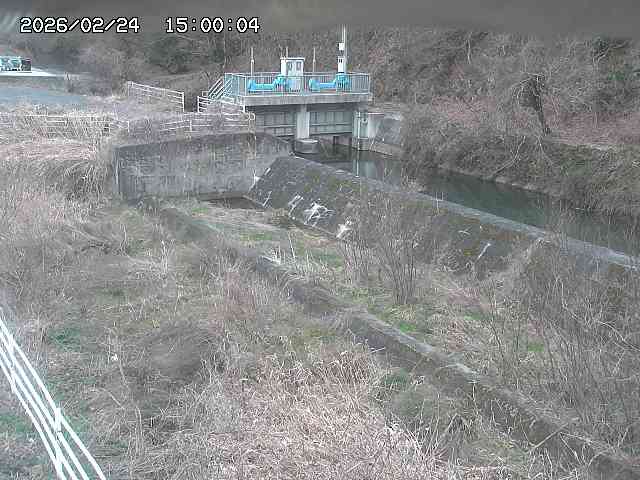 山白川３2026/02/25 2:30:00