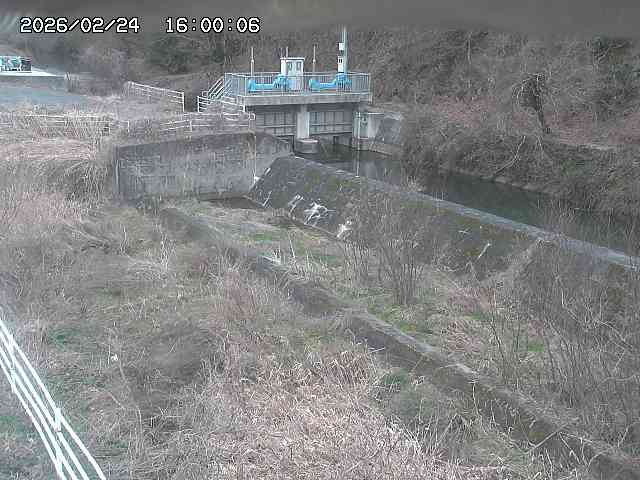 山白川３2026/02/25 2:30:00