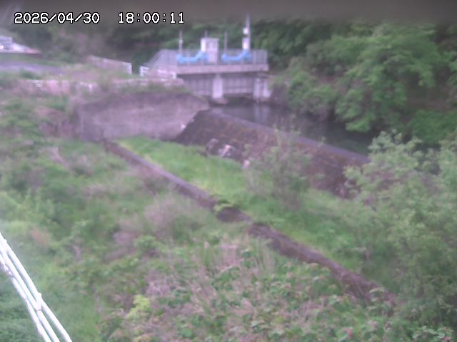 山白川３2026/05/01 16:50:00