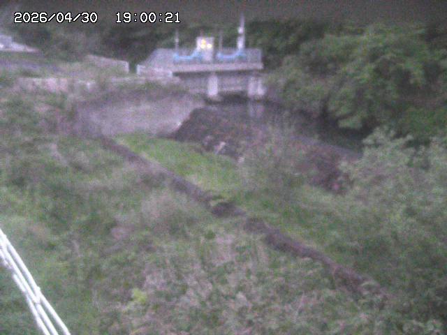 山白川３2026/05/01 16:50:00