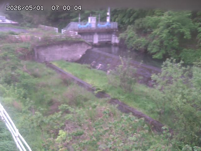 山白川３2026/05/01 16:50:00