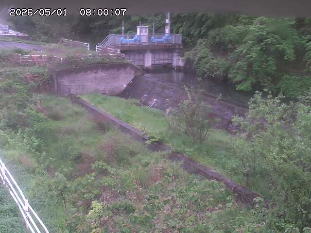 山白川３2026/05/01 16:50:00
