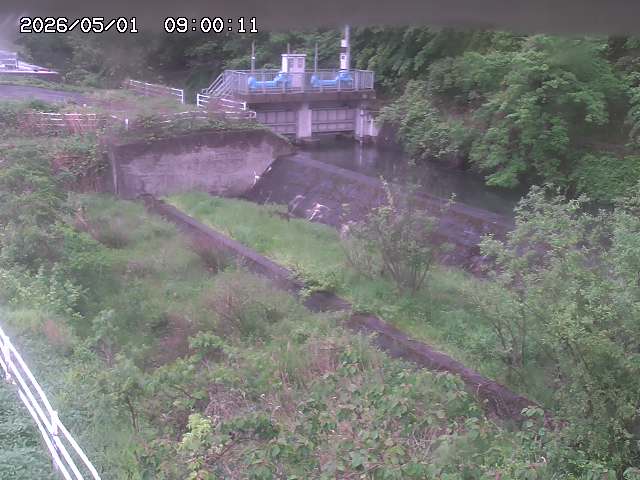 山白川３2026/05/01 16:50:00