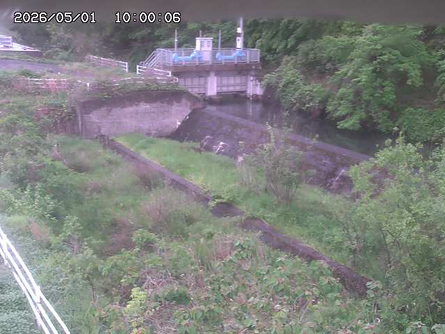 山白川３2026/05/01 16:50:00