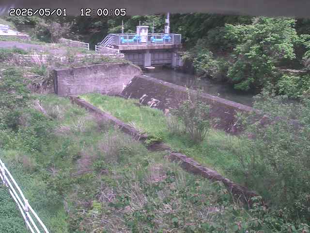 山白川３2026/05/01 16:50:00