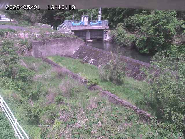 山白川３2026/05/01 16:50:00