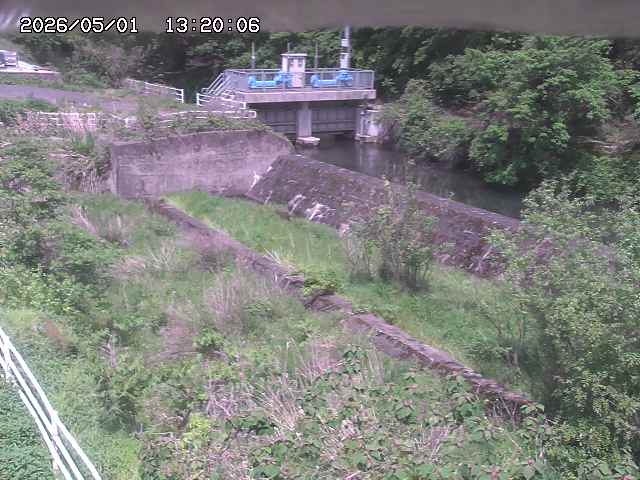 山白川３2026/05/01 16:50:00