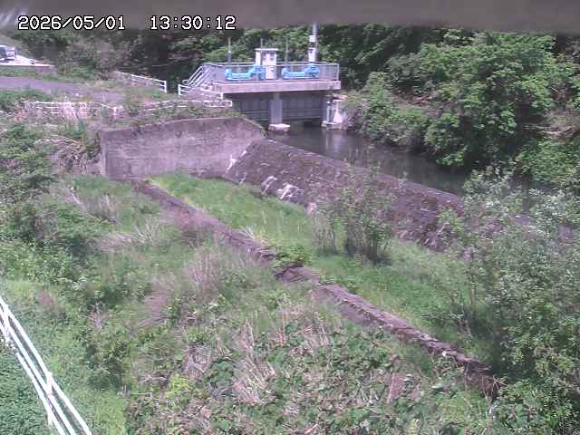 山白川３2026/05/01 16:50:00