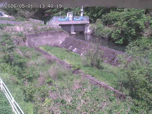 山白川３2026/05/01 16:50:00