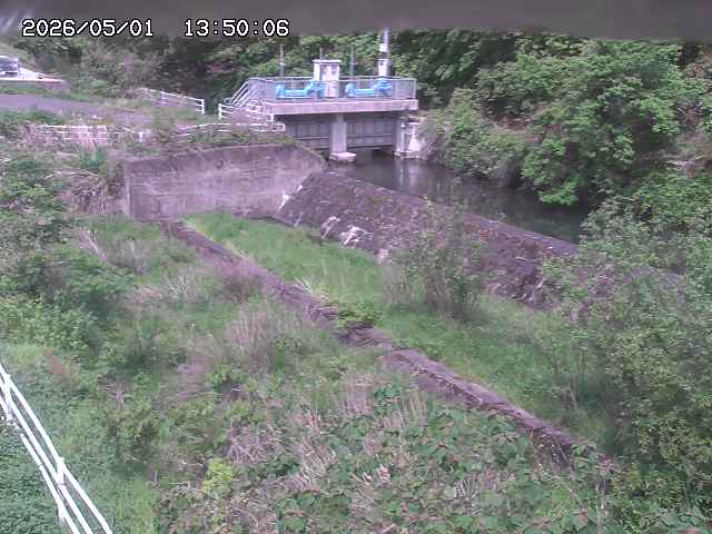 山白川３2026/05/01 16:50:00
