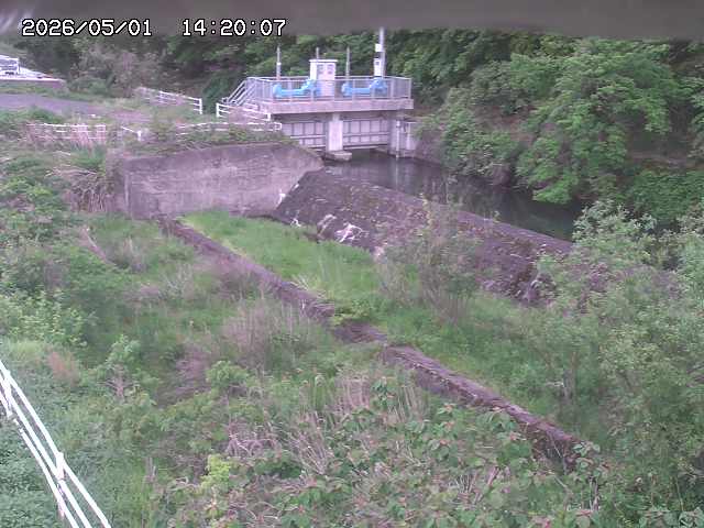 山白川３2026/05/01 16:50:00