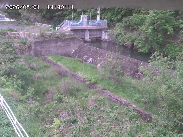 山白川３2026/05/01 16:50:00