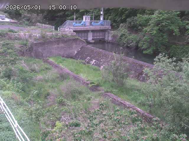 山白川３2026/05/01 16:50:00