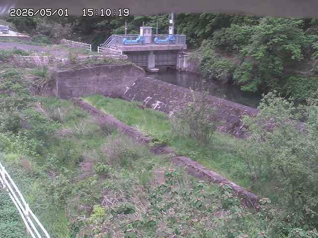 山白川３2026/05/01 16:50:00