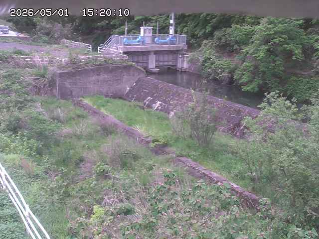 山白川３2026/05/01 16:50:00