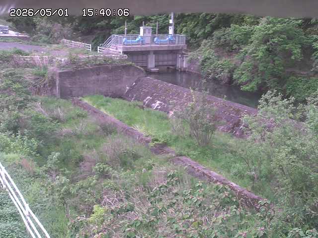 山白川３2026/05/01 16:50:00