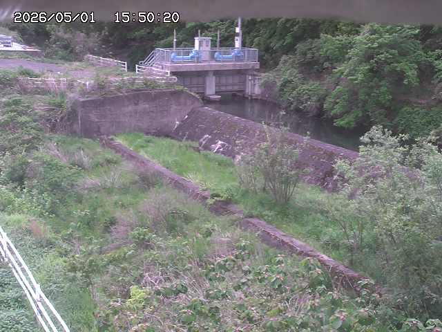 山白川３2026/05/01 16:50:00