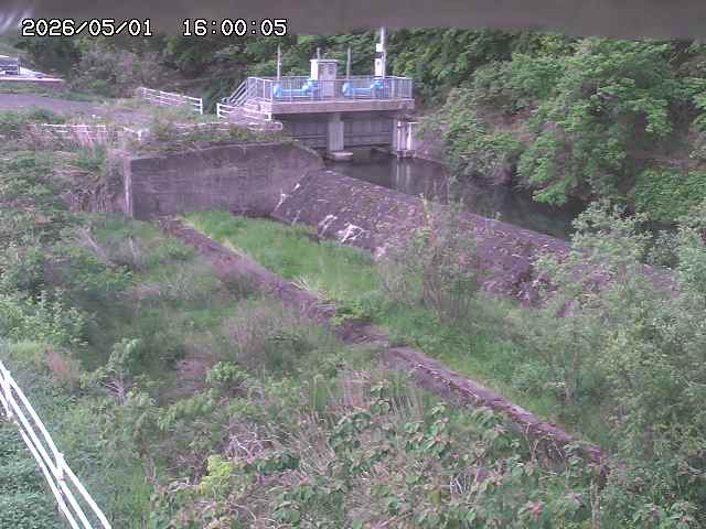 山白川３2026/05/01 16:50:00