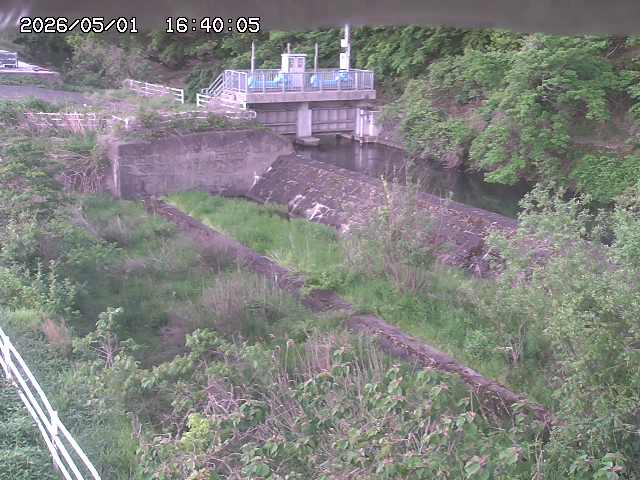 山白川３2026/05/01 16:50:00