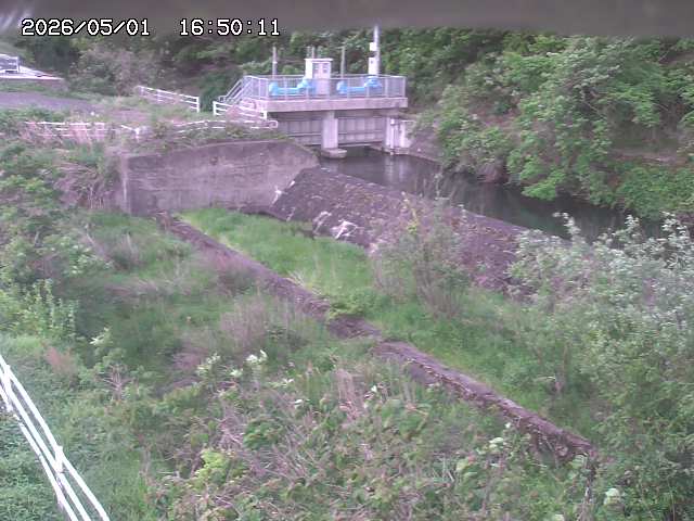 山白川３2026/05/01 16:50:00