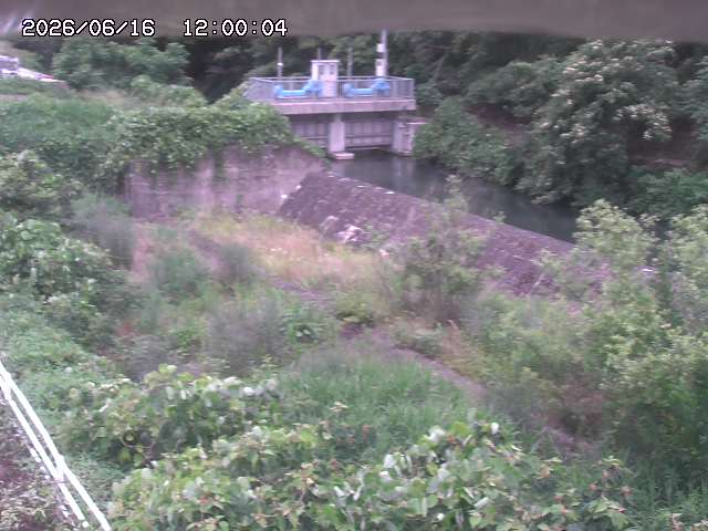 山白川３2026/06/17 12:00:00