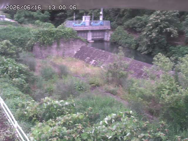山白川３2026/06/17 12:00:00