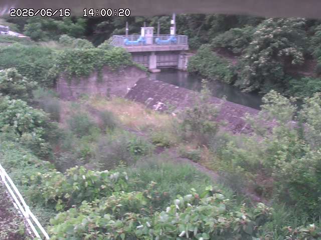 山白川３2026/06/17 12:00:00