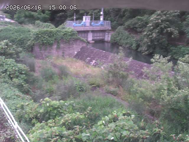 山白川３2026/06/17 12:00:00