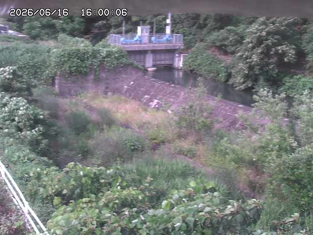 山白川３2026/06/17 12:00:00