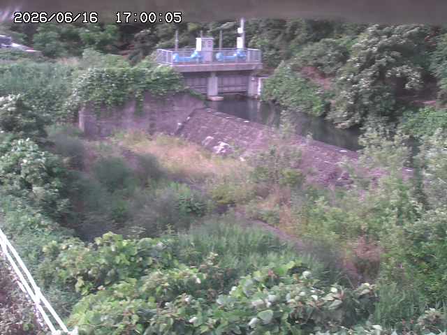 山白川３2026/06/17 12:00:00