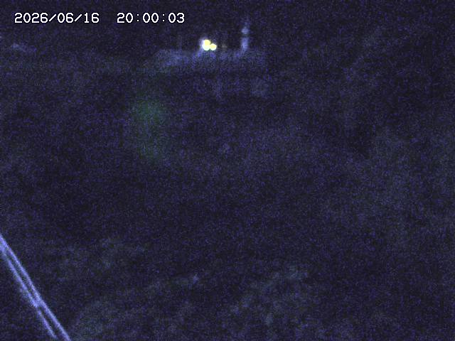 山白川３2026/06/17 12:00:00