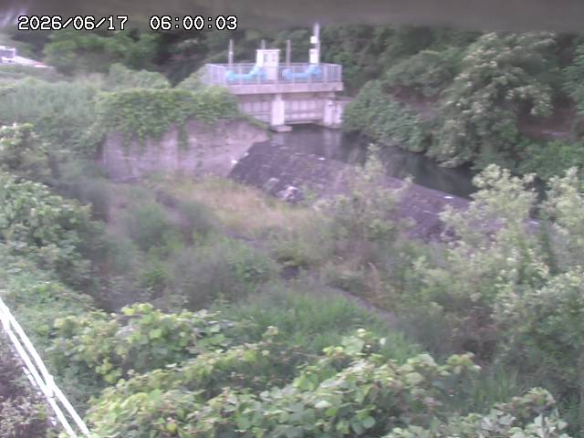 山白川３2026/06/17 12:00:00