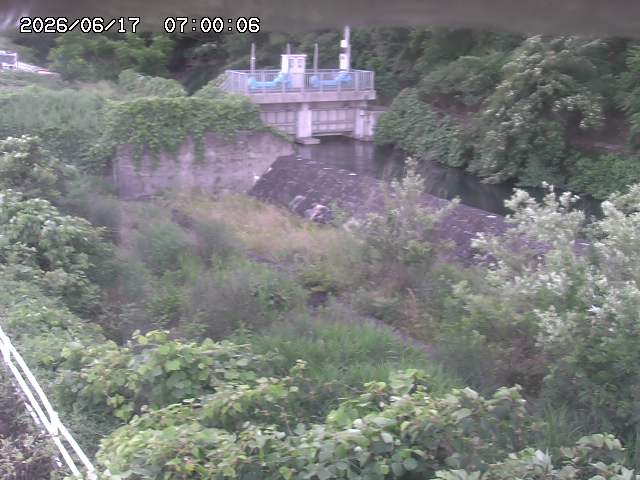 山白川３2026/06/17 12:00:00