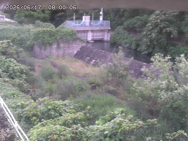 山白川３2026/06/17 12:00:00