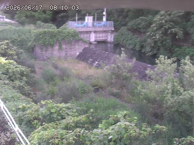 山白川３2026/06/17 12:00:00