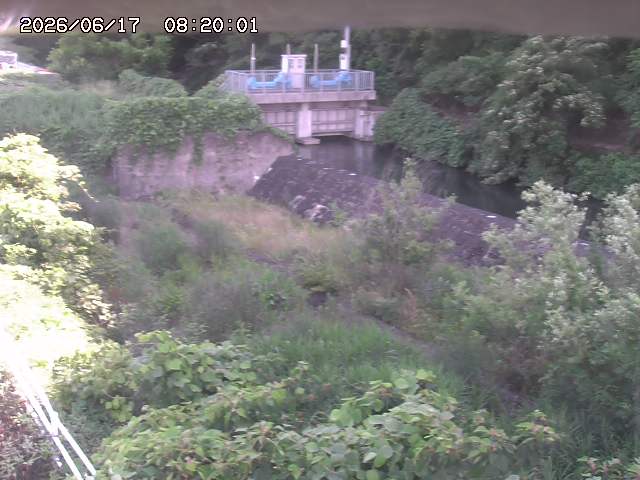 山白川３2026/06/17 12:00:00