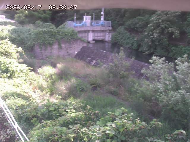 山白川３2026/06/17 12:00:00