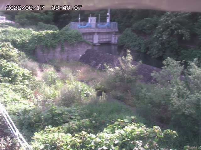 山白川３2026/06/17 12:00:00