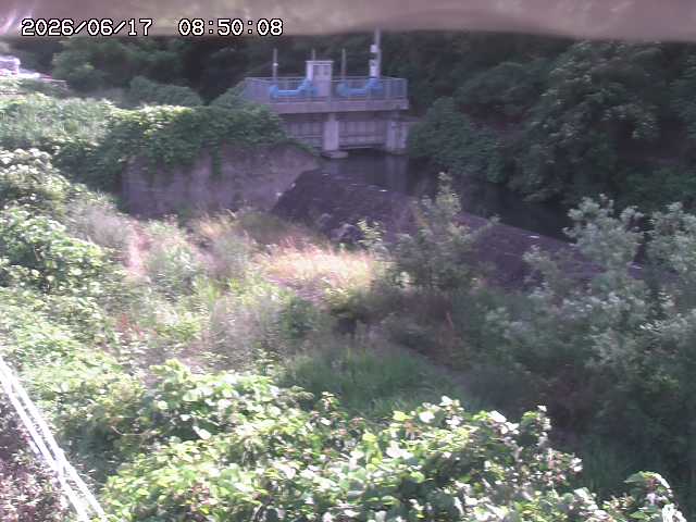 山白川３2026/06/17 12:00:00
