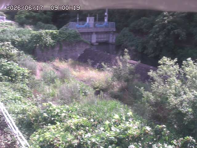 山白川３2026/06/17 12:00:00