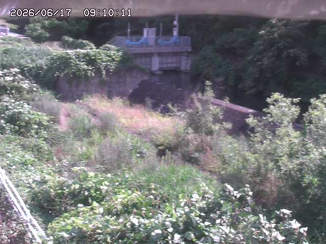 山白川３2026/06/17 12:00:00