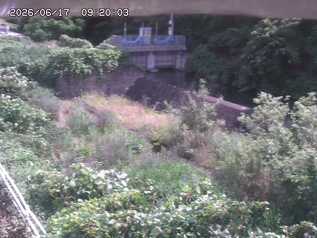 山白川３2026/06/17 12:00:00