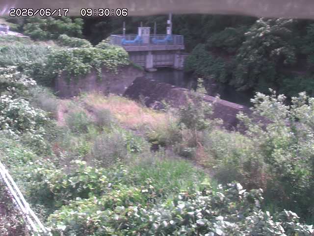 山白川３2026/06/17 12:00:00
