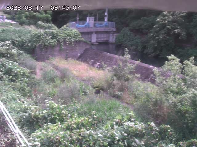 山白川３2026/06/17 12:00:00