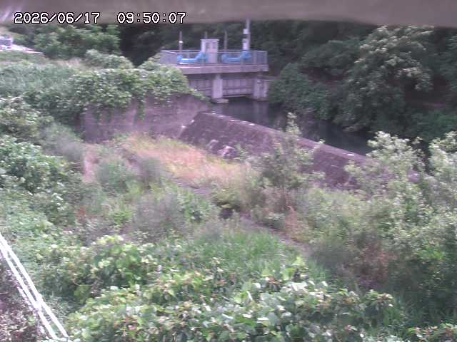 山白川３2026/06/17 12:00:00