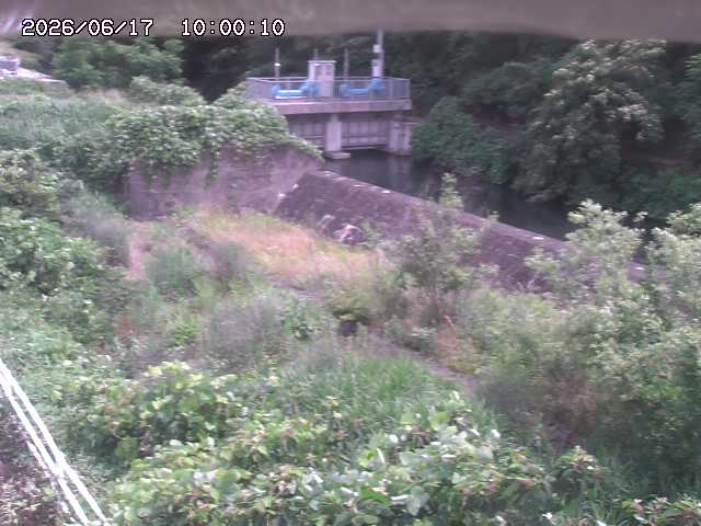 山白川３2026/06/17 12:00:00